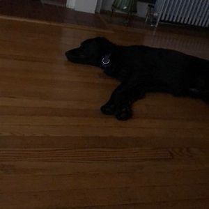 Meet your Posher, Keri